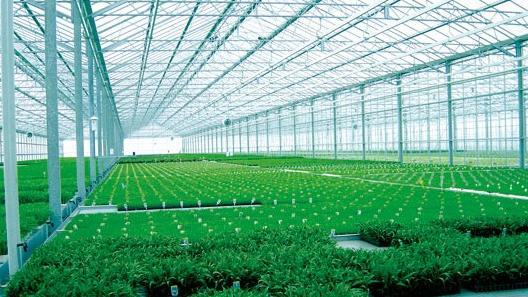 欣海陽(yáng)光板優(yōu)勢(shì)