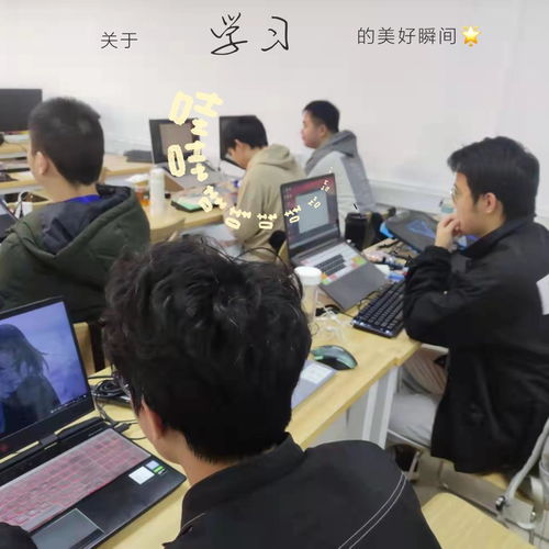 Java136期學習日記 在黑馬程序員技術交流社區的成長與思考